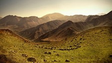 Landscape nature hills animals sheep Custom Gaming Mat Desk picture