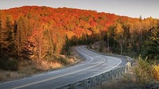 Landscape forest road fall red leaves pine trees asphalt Custom Gaming Mat Desk picture
