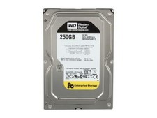 Western Digital HDD WD2503ABYZ 250GB 6Gb/s RE 7200RPM Enterprise SATA 64MB Cache picture