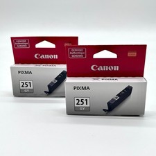 Canon Pixma 251 Gray Genuine Ink Cartridge (2 Pack) picture