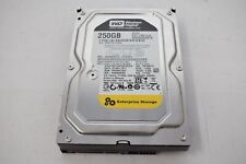 Western Digital WD2503ABYX-01WERA0 250GB HDD Hard Disk Drive  picture