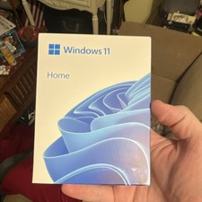 Microsoft Windows 11 Home USB OS, English, Standard License,l. picture