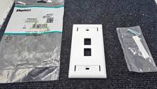 (QTY 4) Panduit NK2FWHY: NetKey 2-Position Classic Keystone Faceplate - White picture