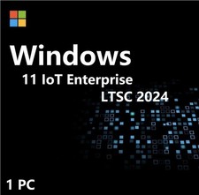 Windows 11 IoT Enterprise LTSC 2024 High End 1 PC  Use For Single Device ✔ USB picture