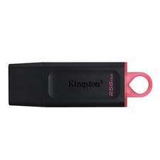 Kingston DataTraveler Exodia 256GB USB 3.2 (Gen 1) Flash Drive (DTX/256GB) picture