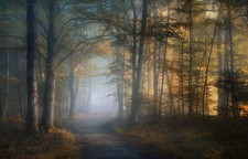 Landscape mist path fall forest leaves trees sunlight Custom Gaming Mat Desk picture