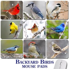 BIRD WATCHING GIFT ~ Mouse Pad / PC Mousepad ~ Birding Cardinal Chickadee Finch picture