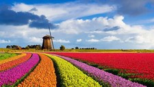 Landscape nature windmill flowers clouds sky red orange Custom Gaming Mat Desk picture