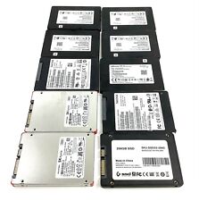 SSD 256GB Various SSDs Samsung SanDisk Crucial Intel [LOT OF 10x] *Untested picture