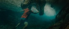 Studio Distribution Services Jurassic World Rebirth DVD, Action Thriller, PG-13, picture
