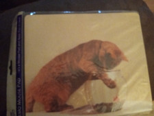 2004 Martin Designs NIP Cat & Goldfish In A Bowl Mouse Pad & Memo Pad Sheets picture