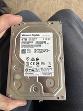 Western Digital DC HC310 Desktop picture