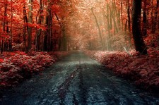 Landscape forest road trees fall outdoors leaves Custom Gaming Mat Desk picture