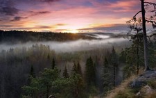 Landscape trees mist sunset nature sunlight Custom Gaming Mat Desk picture
