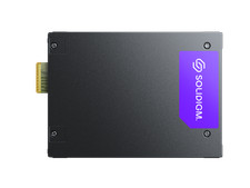 Solidigm Solid State Drive D7-PS1010 Series (3.84TB, E3.S 7.5mm PCIe 5.0 x4, V7, picture