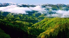 Landscape mountains hills trees forest mist photography Custom Gaming Mat Desk picture