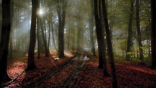 Landscape nature path mist forest sunlight leaves trees Custom Gaming Mat Desk picture