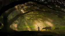 Landscape nature trees forest branch men animals cow sun Custom Gaming Mat Desk picture