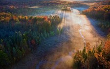 Landscape forest mist trees field river sun rays fall Custom Gaming Mat Desk picture