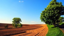 Landscape field sky road trees grass dirt clear sunlight Custom Gaming Mat Desk picture