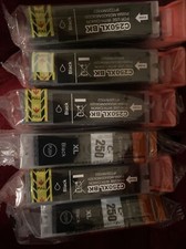 Remanufactured Ink Cartridges - Epson C250XL BK (6 Total) picture