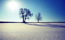 Landscape nature trees outdoors snow winter ice Custom Gaming Mat Desk picture
