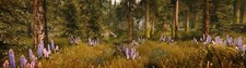Landscape the elder scrolls v skyrim multiple display Custom Gaming Mat Desk picture