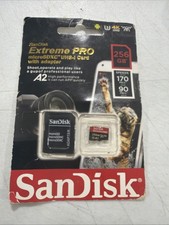 SDCard, 256 GB, SanDisk picture