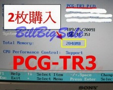 (1GB RAM) 1x1G SONY VAIO PCG U101 TR1 TR2 TR3 TR5 X505 MicroDIMM DDR-333 USA c μ picture