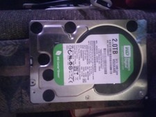 western digital 2.0tb picture