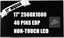 B170QAN01.2 LCD Screen LCD Display Panel 16:10 2560x1600pixel 178PPI IPS 240 Hz picture