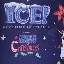 Charlie Brown ICE Gaylord Opryland Mouse Pad Blue Christmas Snoopy Charlie Brown picture
