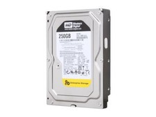 Western Digital RE3 Enterprise 250GB Internal 7200RPM 3.5