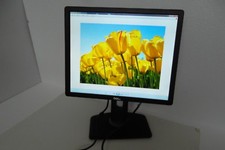 LOT-10 Dell P1913S Monitor 19