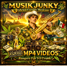 64gb usb loaded with over 700 corrido videos in mp4 format picture