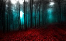 Landscape nature red blue forest mist trees Custom Gaming Mat Desk picture