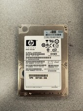 HP 300 GB,Plug-In Module,10000 RPM (507129-004) HDD picture