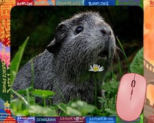Cute Guinea Pig  mouse pad picture
